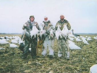 snow goose hunts
